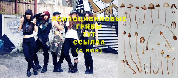 амф Балахна