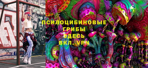 гашик Баксан