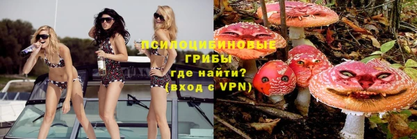 гашик Баксан
