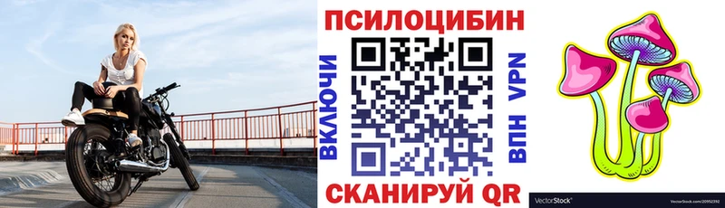 Купить где  Бирск  Псилоцибиновые грибы мицелий 
